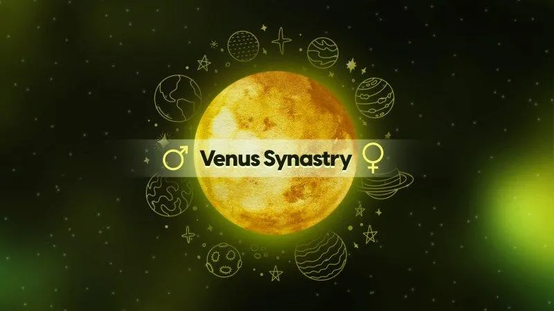 venus in house synatry 1